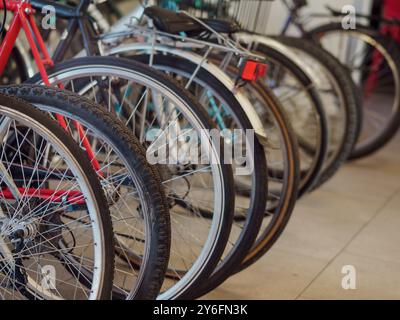 Le biciclette parcheggiate in fila, pronte per un giro attraverso le strade e i parchi della città, simboleggiano la vita urbana e gli spostamenti ecologici. Luci, catarifrangenti, hel Foto Stock