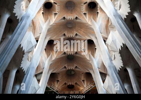 Barcellona, Spagna, 4 settembre 2008, esplora gli splendidi interni della Sagrada Familia, mostrando Gaudís visione architettonica unica a Barcellona. Foto Stock
