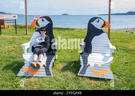 Decorazioni di puffin sulle sedie della riserva ecologica di Harbour Road a Wittless Bay, Terranova & Labrador, Canada Foto Stock