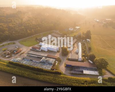 Vista dall'alto di una fattoria con diversi edifici e campi in autunno, Gechingen, Foresta Nera, Germania, Europa Foto Stock