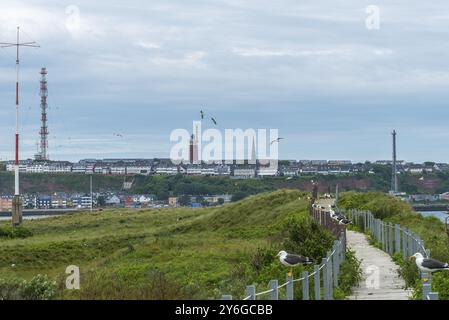 Sentiero escursionistico sulla duna, vista sull'isola offshore di Helgoland, sentiero in legno, gabbiani (Larinae), faro, Mare del Nord, distretto di Pinneberg Foto Stock