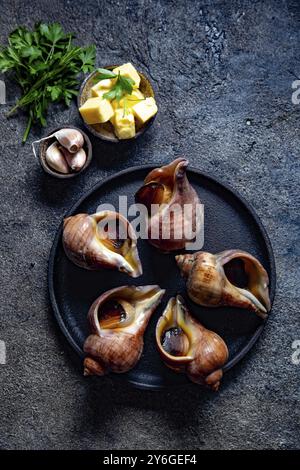 Cibo, cibo, ingredienti crudi gigante ESCARGOT dall'oceano Pacifico. Grandi lumache cilene, burro, aglio e prezzemolo Foto Stock