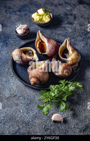 Cibo, ingredienti crudi gigante ESCARGOT dall'oceano Pacifico. Grandi lumache cilene, burro, aglio e prezzemolo Foto Stock