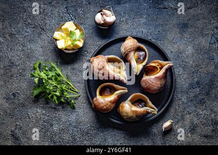 Cibo, cibo, ingredienti crudi gigante ESCARGOT dall'oceano Pacifico. Grandi lumache cilene, burro, aglio e prezzemolo Foto Stock