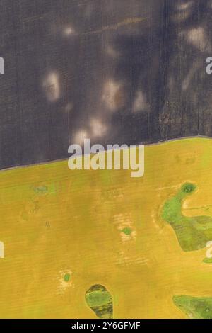 Antenna vista superiore drone fotografia di una terra con seminato verdi campi in campagna Foto Stock