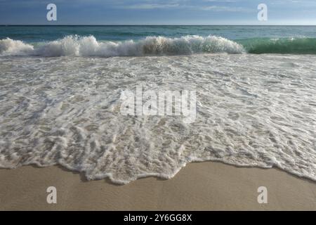 Schiuma di onda su una spiaggia di sabbia bianca nella luce del sole di setting Foto Stock