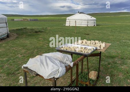 Prodotto lattiero-caseario mongolo Aaruul o Gurt a base di latte aspro sgocciolato essiccato con ger tipico sullo sfondo Foto Stock