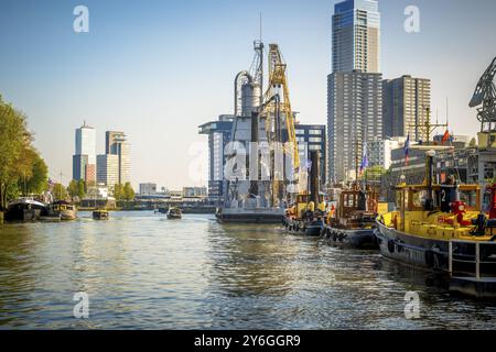 Rotterdam, Paesi Bassi, 9 maggio 2024: Imbarcazioni ormeggiate a Leuvehaven a Rotterdam, Paesi Bassi Foto Stock