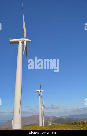 Paesaggio con turbine eoliche allineate di un parco eolico su un impianto di montagna. Energia sostenibile Foto Stock