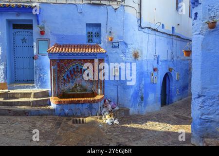 Fontana pubblica di Plaza El Hauta, piazza nella medina di Chefchaouen, Marocco, Africa Foto Stock