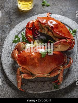 Cibo, cibo, granchi interi cotti su piatto bianco con limone e birra. Sfondo grigio in cemento. Vista dall'alto Foto Stock