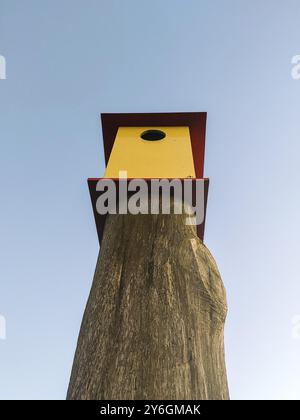 Scatto verticale di una casa di uccelli gialli e rossi su un palo di legno contro il suggestivo cielo blu. Vista ad angolo basso Foto Stock