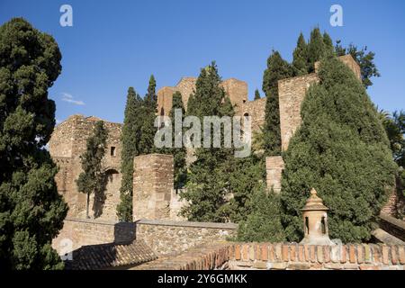 Castillo de gibralfaro, Malaga, Spagna, Europa Foto Stock