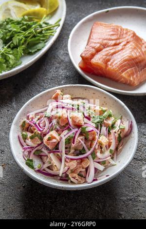 Cibo, cibo, CEVICHE DI SALMONE CILENO. Salmone crudo fresco marinato con cipolla viola, coriandolo nel succo di limone. Sebiche e ingredienti su backgroun grigio Foto Stock