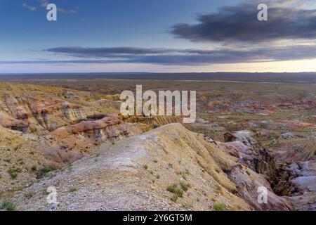 Canyon a righe colorate Tsagaan suvarga, stupa bianco. Ulziit soum, provincia di Dundgovi, Mongolia, Asia Foto Stock