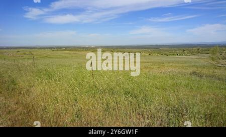 Paesaggio del parco nazionale zona de Interes Regionale Llanos de Caceres y Sierra de Fuentes in Estremadura, Spagna. Viaggi e Turismo Foto Stock