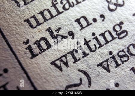 Inchiostro Word sulla pagina del dizionario, primo piano macro Foto Stock