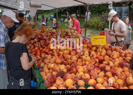 Gli acquirenti acquistano pesche al Grand Army Plaza Farmers Market di Prospect Park a Brooklyn, New York. Foto Stock