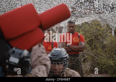 27 agosto 2024 - Marine Corps Recruit Depot, California, USA - U.S. Marine Corps Sgt. Manuel De la Rosa, un istruttore di esercitazione con Bravo Company, 1st Recruit Training Battalion, osserva un evento di pugil stick al Marine Corps Recruit Depot San Diego, California, 27 agosto 2024. Alle reclute vengono insegnate tecniche del programma di arti marziali del corpo dei Marines che instillano l'autodifesa di base che eseguiranno durante l'addestramento delle reclute per aiutare a costruire un ethos guerriero e un esprit de Corps. (Immagine di credito: © Elliott Flood-Johnson/U.S. Marines/ZUMA Press Wire) SOLO PER USO EDITORIALE! Non per USO commerciale! Foto Stock