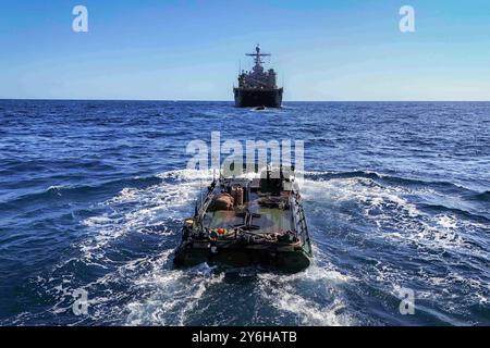 Pohang, Corea del Sud. 4 settembre 2024. Un veicolo da combattimento anfibio, collegato al Battalion Landing Team (BLT) 1/5, 15th Marine Expeditionary Unit, conduce operazioni anfibie con la nave da sbarco anfibia USS Harpers Ferry (LSD 49) come parte dell'esercitazione Ssang Yong 24 nelle acque ad est della costa della Corea del Sud, 4 settembre 2024. Esercizio SY24 rafforza la Repubblica di Corea-Stati Uniti Alleanza attraverso una formazione bilaterale congiunta, che contribuisce alla capacità anfibia combinata in difesa della penisola coreana. (Immagine di credito: © Sang Kim/U.S. Navy/ZUMA Press Wire) SOLO PER USO EDITORIALE! No Foto Stock