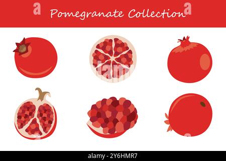 raccolta di melograno in diverse pose. Illustrazione vettoriale. Illustrazione Vettoriale