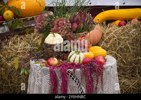 Una mostra rustica della vendemmia autunnale con varie zucche, buongustai e fiori colorati disposti su una tovaglia di pizzo. Lo sfondo include il fieno b Foto Stock
