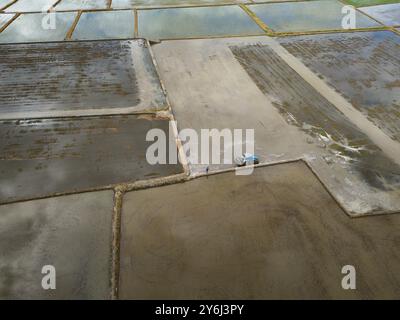Vista aerea delle risaie con un trattore e un agricoltore che lavorano in zona rurale. Foto Stock