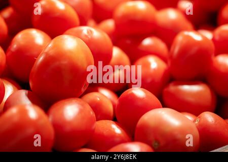 Un mazzo vibrante di pomodori rossi è splendidamente seduto su un tavolo di legno, che mostra la loro freschezza e i colori naturali Foto Stock