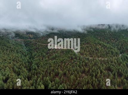 Una strada attraversa la Santa Fe National Forest vicino a Gallinas, New Mexico, Stati Uniti Foto Stock