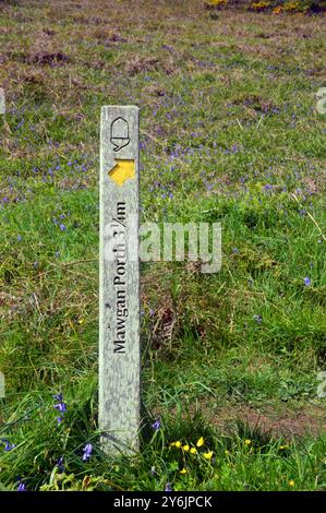 Cartello in legno per Mawgan Porth Bay vicino a Porthcothan Beach sul Southwest Coastal Path, North Cornwall, Inghilterra, Regno Unito. Foto Stock