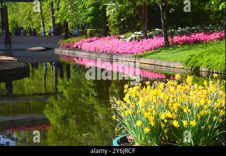 Persone/turisti/turisti/turisti che camminano sul ponte sul lago con letti di fiori riflessi ai giardini Keukenhof, Lisse, Paesi Bassi, UE. Foto Stock