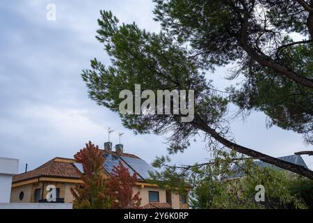 Vista di una grande casa di lusso con pannelli solari fotovoltaici sul tetto. Piante e alberi in primo piano. Concetto di efficienza dei pannelli solari acceso Foto Stock