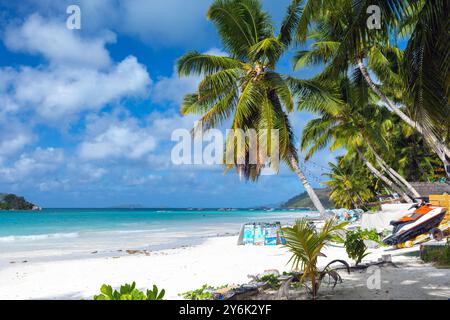 Praslin, Seychelles - 14 agosto 2023: I turisti si rilassano sulla spiaggia con palme e sabbia bianca sotto il cielo blu in una soleggiata giornata estiva Foto Stock