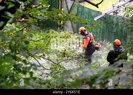 Solingen, Germania. 26 settembre 2024. I dipendenti della North Rhine-Westphalia Forestry and Timber Agency sostengono la polizia in un parco nel centro della città. In relazione al sospetto attentato terroristico islamista a Solingen, la polizia sta ancora perquistando un'area della città. Fonti di sicurezza hanno detto che i servizi di emergenza stavano sgombrando un'area verde con fitte cespugli. Stanno cercando un secondo cellulare. L'operazione potrebbe richiedere diversi giorni. Crediti: Roberto Pfeil/dpa/Alamy Live News Foto Stock