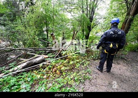 Solingen, Germania. 26 settembre 2024. Gli agenti di polizia stanno svolgendo lavori di sicurezza su terreni accidentati vicino a una sospetta scena del crimine. In relazione al sospetto attacco terroristico islamista a Solingen, la polizia sta ancora una volta perlustrando un'area della città. I servizi di emergenza hanno sgombrato un'area verde con fitte cespugli, secondo le fonti di sicurezza. Stanno cercando un secondo cellulare. L'operazione potrebbe richiedere diversi giorni. Crediti: Roberto Pfeil/dpa/Alamy Live News Foto Stock