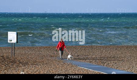 Brighton Regno Unito 15 settembre 2024 - questa mattina Un passante di cani sulla spiaggia di Brighton durante un mix di sole, vento e pioggia, mentre per alcune parti della Gran Bretagna sono stati emessi avvisi di pioggia pesante: Credit Simon Dack / Alamy Live News Foto Stock