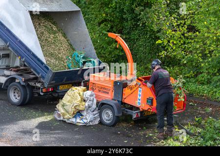 Uomo arborista appaltatore che utilizza un truciolato per impieghi gravosi per produrre trucioli di legno dai rami di alberi tagliati, Inghilterra, Regno Unito Foto Stock