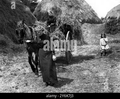 Le donne aiutano un contadino di Norfolk con il suo fieno Foto Stock