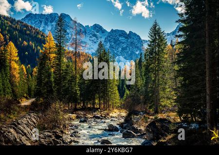 Autunno in Val Sesis. Esplosione di colori nella valle del Piave. Sappada Foto Stock
