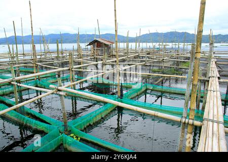 Le gabbie di cultura d'acqua dolce sono costruite dai residenti lungo la periferia del lago Tondano. Foto Stock