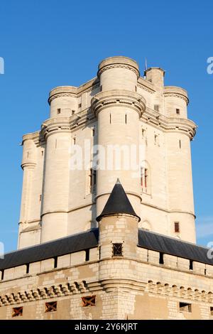 Francia. Val de Marne. Il castello di Vincennes. Sullo sfondo il dungeon. Foto Stock