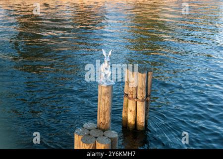 San Pietroburgo, Russia - 16 giugno 2024: monumento a una lepre salvata da un'inondazione nel mezzo dello stretto di Kronverksky Foto Stock