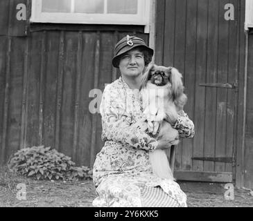 Invicta Pekingese Club's Show presso la pista di pattinaggio di Tonbridge. Ashton Cross con il campione Meng di Alderbourne, 12 volte campione. 27 settembre 1933 Foto Stock