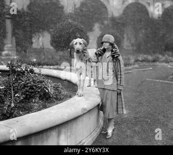 Kennel Club Show all'Alexandra Palace. Miss Joan Southey con 'Crewerne Georgie', Wolfhound irlandese. 2 ottobre 1924 Foto Stock