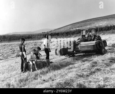 L'imballatrice vista al lavoro sul fieno balin a Cowdens Farm, Lockerbie, Scozia, aveva un lavoro extra da fare per dare ai bambini un giro sulla slitta e trasportare le balle fino al punto di scarico. Si tratta di una delle operazioni non incluse nelle normative che riguardano la sicurezza o i bambini, ma potrebbe comunque costituire una fonte di pericolo. Mary Spence, la figlia del contadino, porta la sua bambola - e presumibilmente questo modo di fare un giro di gioia che potrebbe essere intrapreso in sicurezza. Foto Stock