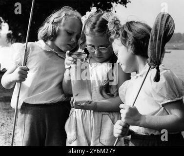 Last Fling prima di tornare a scuola. Tre giovani pescatrici che sfruttano al massimo i loro ultimi giorni di vacanza ammirano il pescato del giorno al Danson Park di Bexley. (da l a r) Diane (6), e Janet Caswell (5) con Glynis carne (6), tutti da Bexley nel Kent. 16/9/1958 Foto Stock