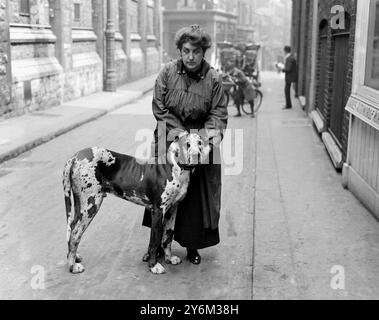 L'onorevole Gabrielle Borthwick e il suo grande danese. Forse a Piccadilly, Londra, fuori dalla sua scuola di ingegneria e motori. forse 1920 - o potrebbe essere già 1915 / 1916 Foto Stock