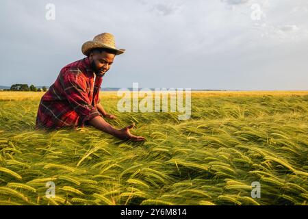 Il giovane agricoltore sta esaminando le colture nel suo campo coltivato a grano. Foto Stock