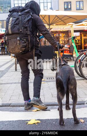 Senzatetto con un cane spesso chiamato "dog punk" Foto Stock