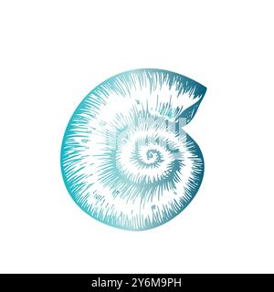 Shell vettoriale. Conchiglia a linea dipinta a mano. Clip art grafica isolata sullo sfondo. Illustrazione sott'acqua. Per designer, inviti Illustrazione Vettoriale
